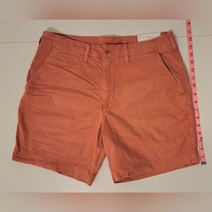 American Eagle Lived-In Flex Short Size 34